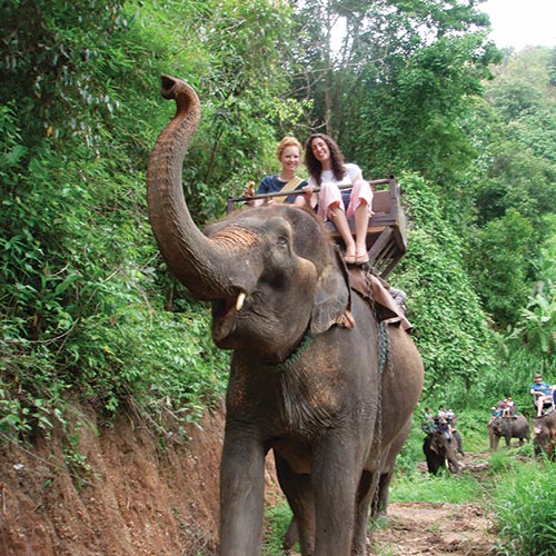 Juniors Abroad in Thailand