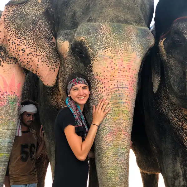A girl hugging the trunk of an elephant while smiling at the camera
