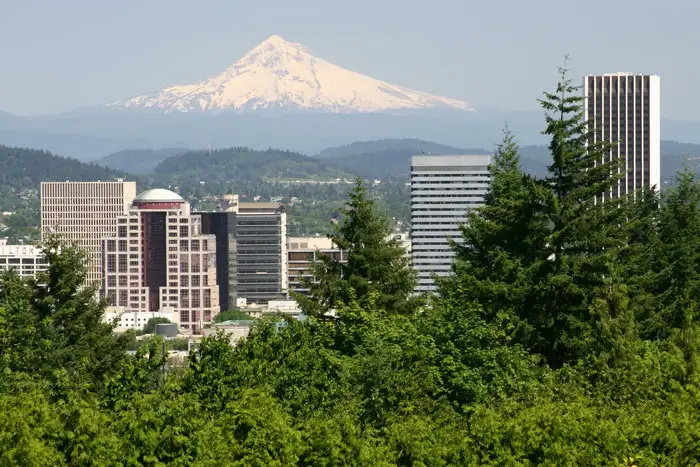 A picture of Portland's trees and city with Mount Hood in the background