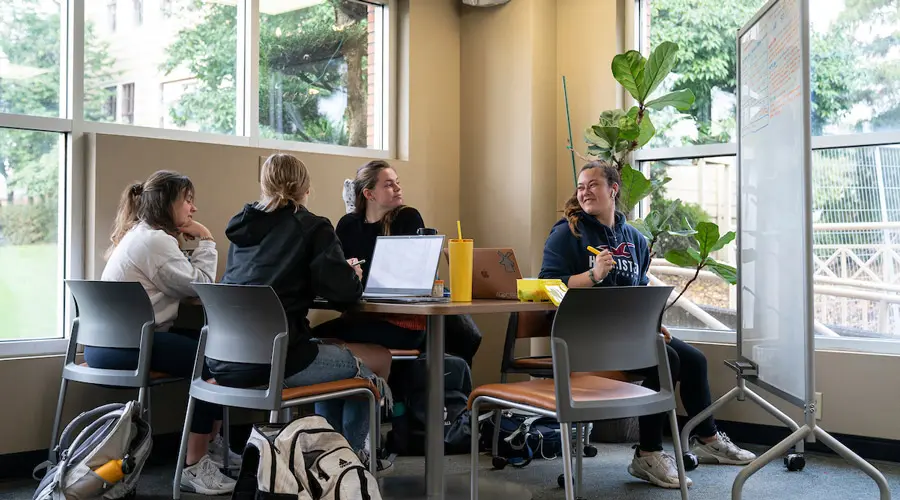 Students work in the library