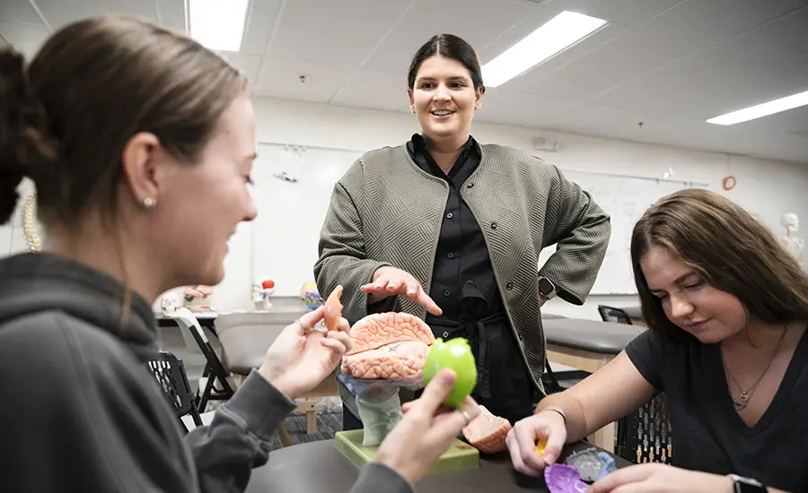 Jordyn studying a model of the human brain