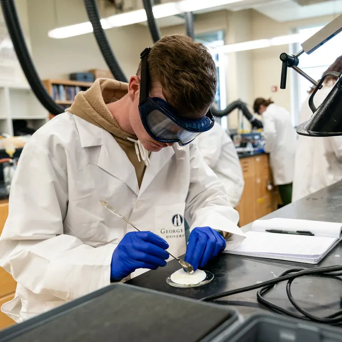 Student works at a lab station