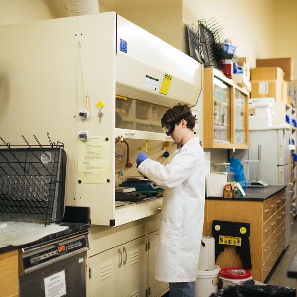 Students in the lab