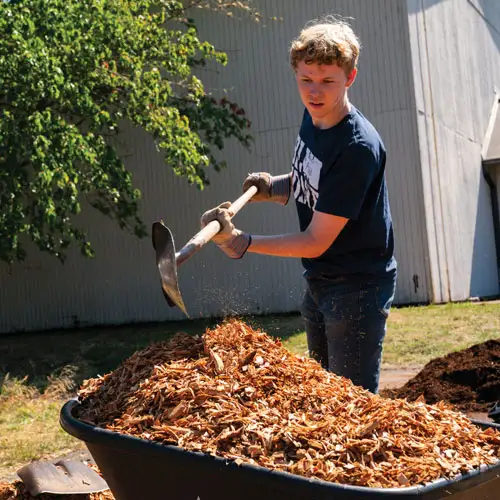 A student shoveling bark chips into a wheel barrow on Serve Day