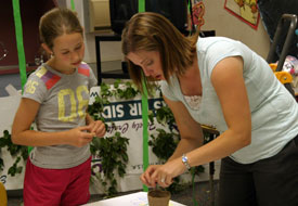 How do I get into the degree completion elementary education program?