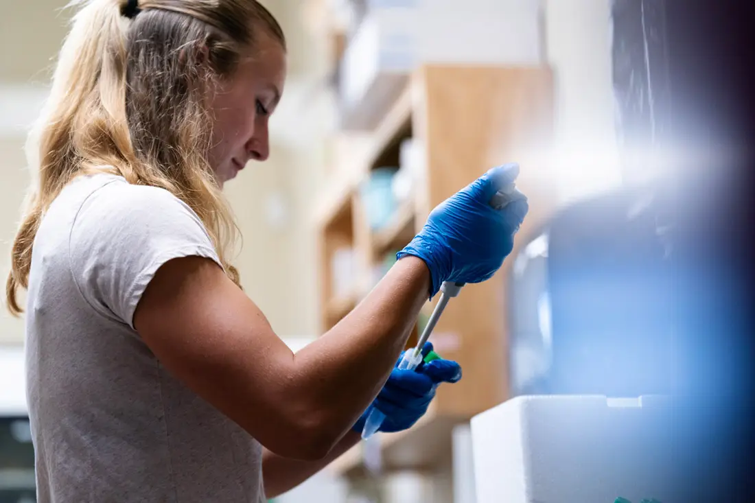 Student researcher Hannah cultures human cancer sells in a lab