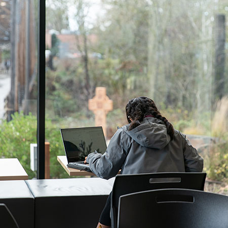 A student studying on her laptop