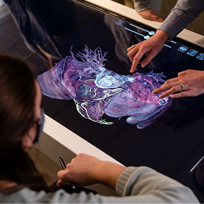 Students studying on the Anatomage table with the digital cadaver